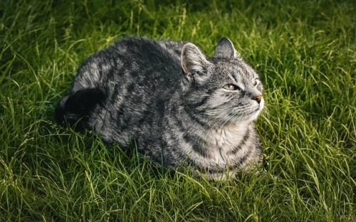 个人实习总结汇总6篇-春林公文网