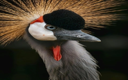 大学生英文毕业总结-春林公文网