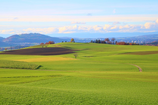 金秋九月问候祝福短信