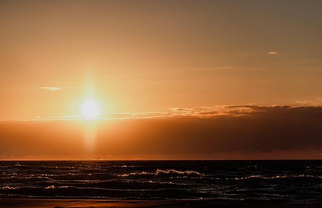 义务支教活动总结