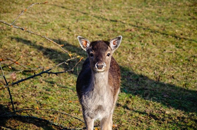 税务局机关党委工作总结