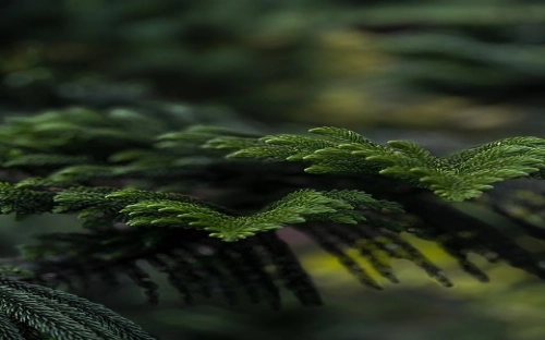 2013环境日宣传标语-春林公文网