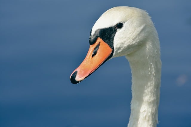 入党前思想汇报的格式范文