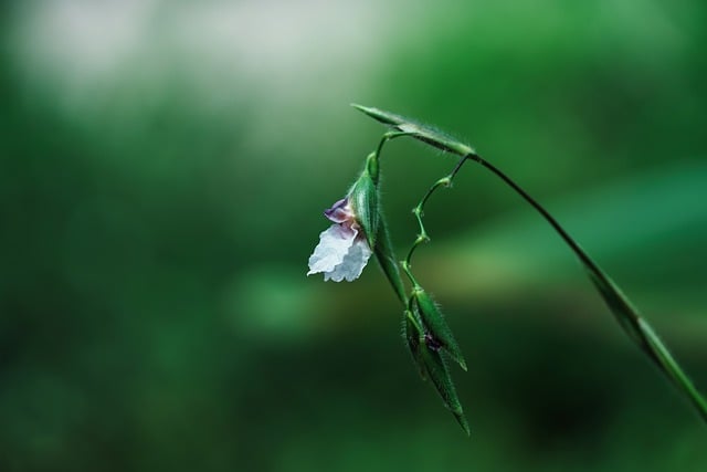 浅谈与领导相处的礼仪