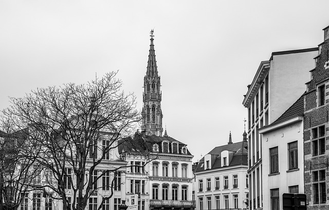 环境保护宣传标语与口号