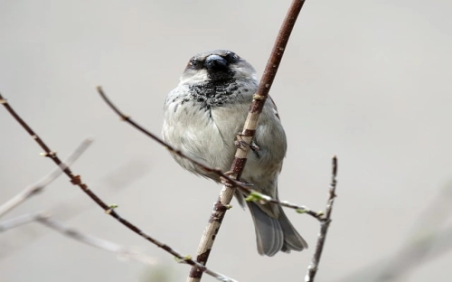 留言条怎么写-春林公文网