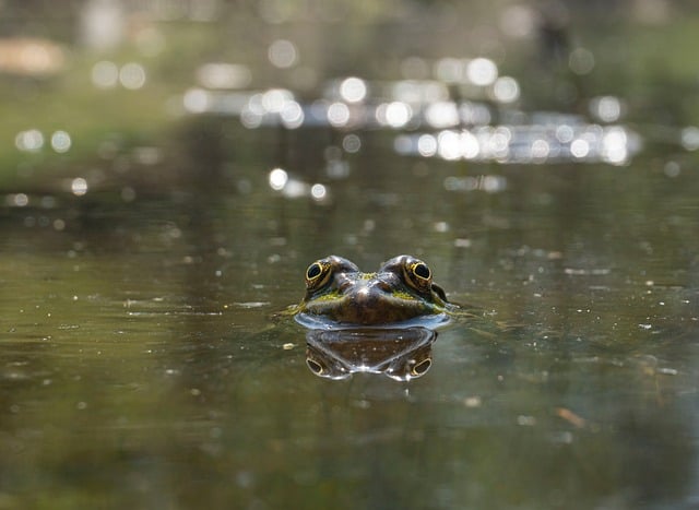 2022大四学生预备党员思想汇报怎么写及范文十篇