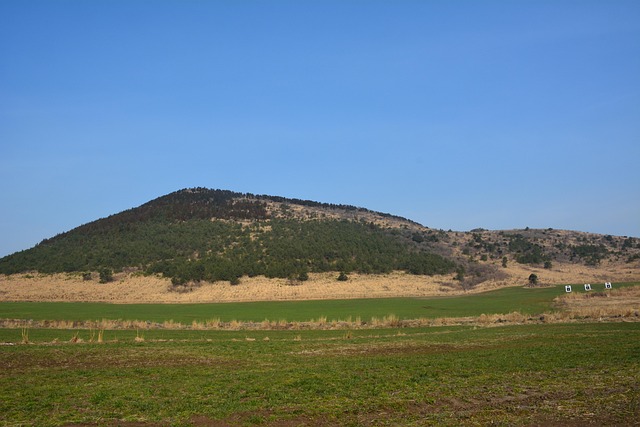 2021年国际六一节2021年主题活动总结（5篇）