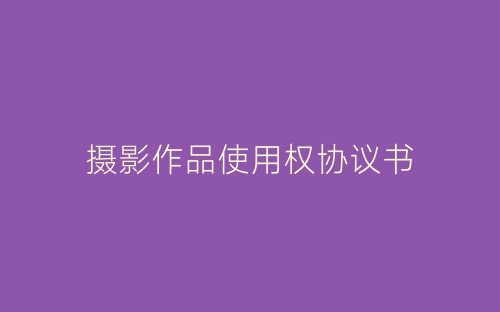 摄影作品使用权协议书-春林公文网
