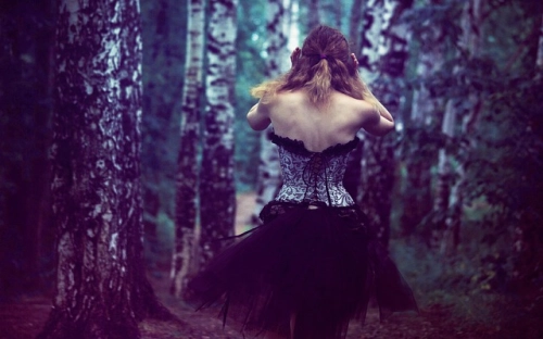 办公室社会实践报告模板-春林公文网