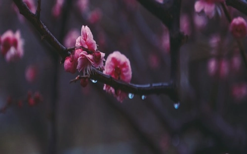 高考冲刺口号集锦-春林公文网