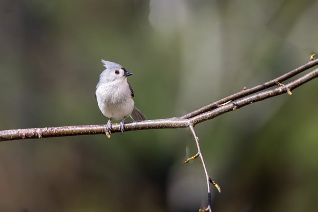 2021学党史组织生活会发言材料范文精选5篇