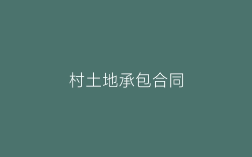 村土地承包合同-春林公文网