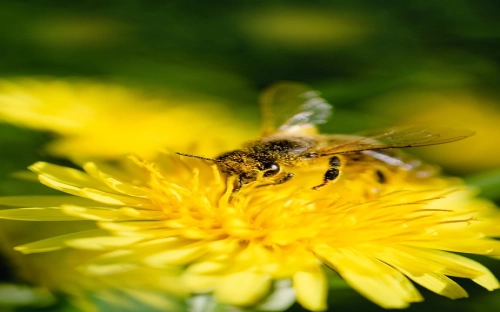 世界无烟日的来历-春林公文网