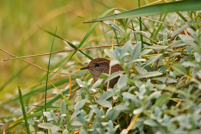 大学生创新创业计划书范文完整版2022年最新汇总