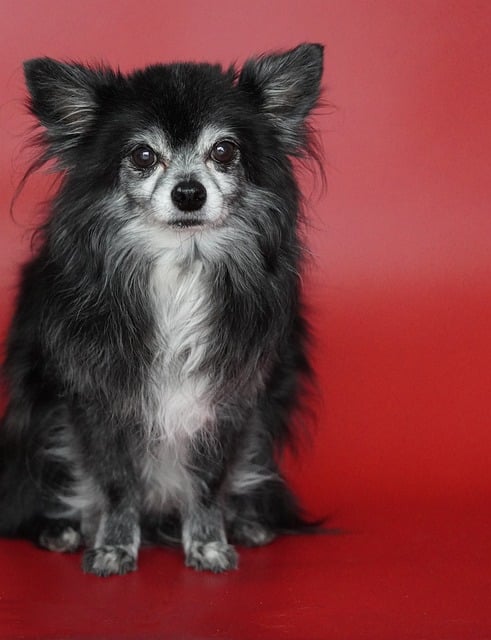 外贸信函:商务书信范例(二)