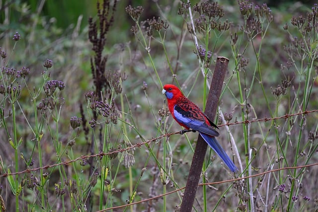 农村副业经营承包合同