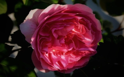 庆祝建党xx周年讲话稿范文-春林公文网