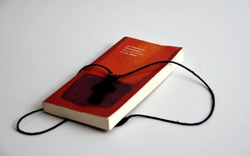 入党转正申请书通用模板参考-春林公文网