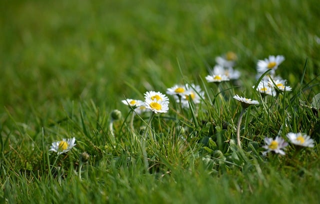 人民医院工会2004年工作计划