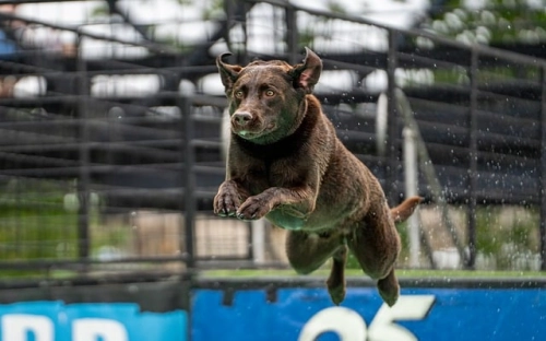 可行性研究报告-春林公文网