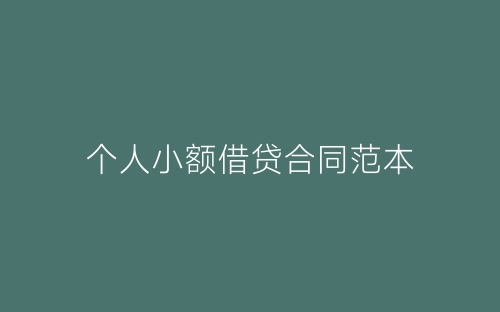 个人小额借贷合同范本-春林公文网