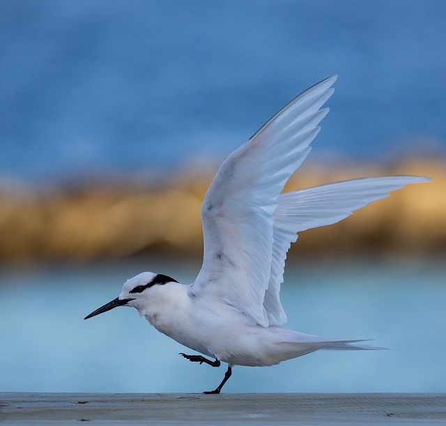 有关暑期实践报告三篇