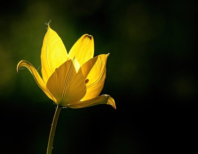 2021教师节给老师的慰问信范文精选7篇