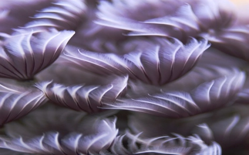 语文教研组2009~2010第一学期工作总结-春林公文网