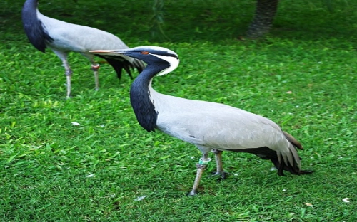 另类爱情-春林公文网