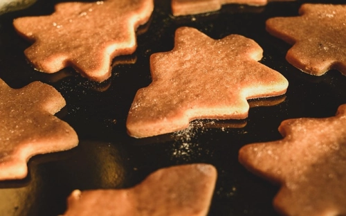 食品浪费研究报告-春林公文网