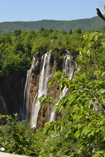 新农村建设暑期社会实践问卷调查报告