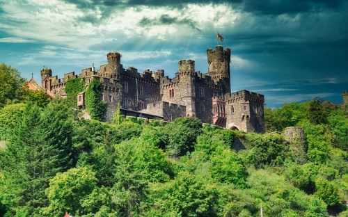 培训工作年终总结范文-春林公文网