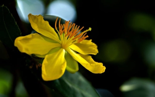 全市创建消防安全社区活动实施方案-春林公文网