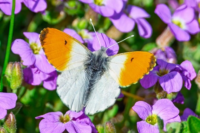 2017年入党申请谈话记录三篇