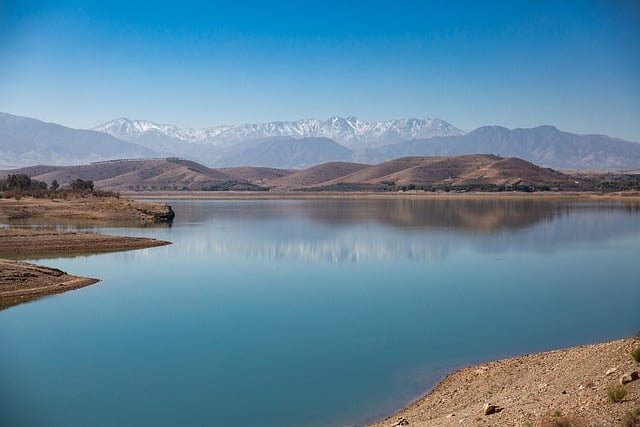 关于入党申请书自传格式及范文精选欣赏