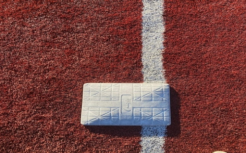 党总支领导班子问题整改方案-春林公文网