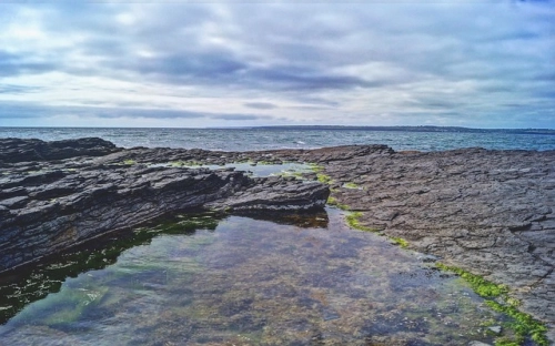 支教实习总结的心得体会怎么写-春林公文网