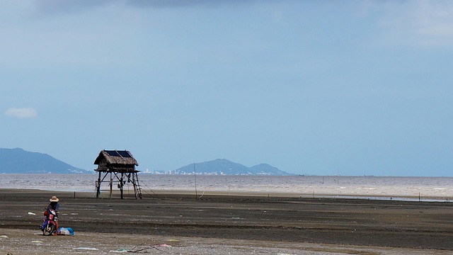 干部职务晋升推荐材料最新范文3篇