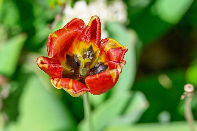 社区党员密切联系群众的承诺书