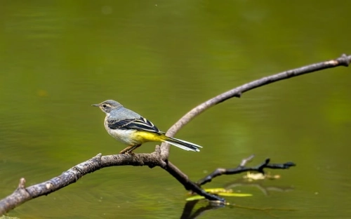 16年学校秋季开学安全工作计划书荐读-春林公文网
