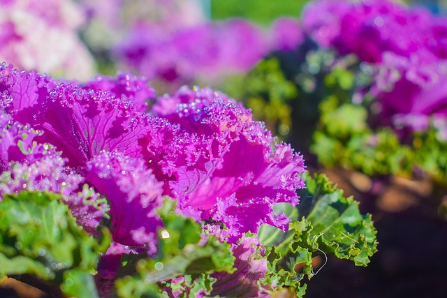 讲政治懂规矩守纪律整改措施 讲政治懂规矩守纪律整改报告