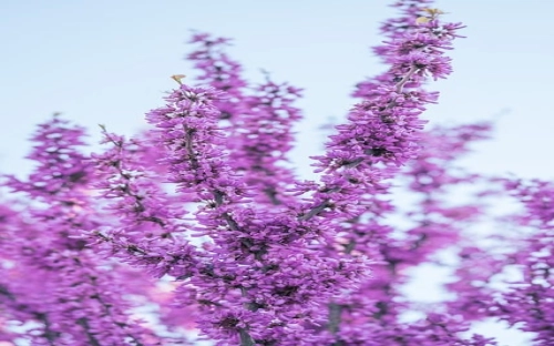 教师节优秀老师发言稿-春林公文网