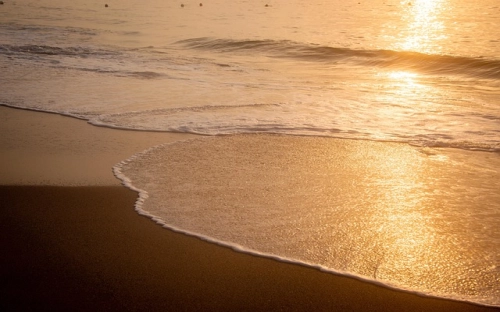 入党需经历哪些程序-春林公文网