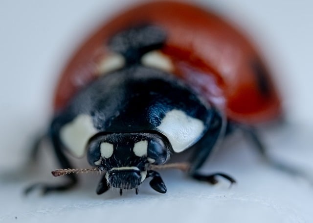 最新版夏天工地施工安全标语100条汇总参阅