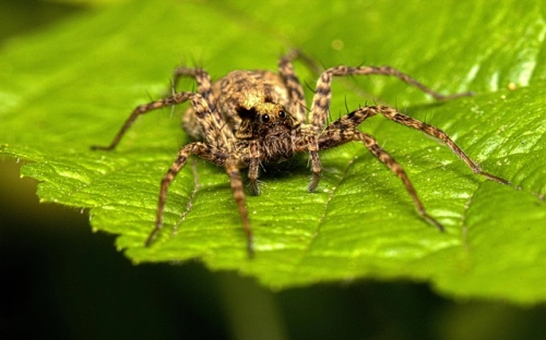 纪念五四运动“青春礼赞”诗歌会暨新团员宣誓仪式-春林公文网