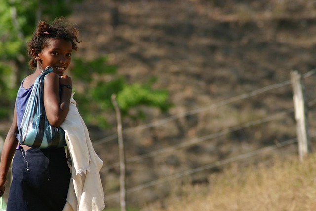 市林业局先进性教育活动“回头看”自查报告