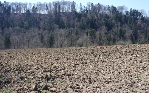 文化局科学发展观活动大总结-春林公文网