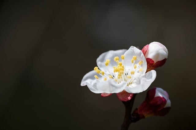 市“创优办”城市功能组工作小结