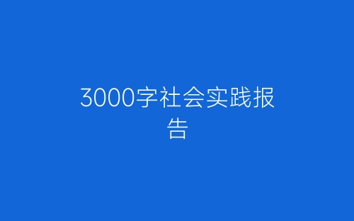 3000字社会实践报告-春林公文网